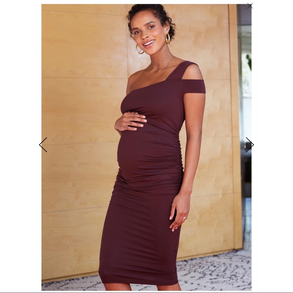 Isabella Oliver Brunswick Maternity Dress